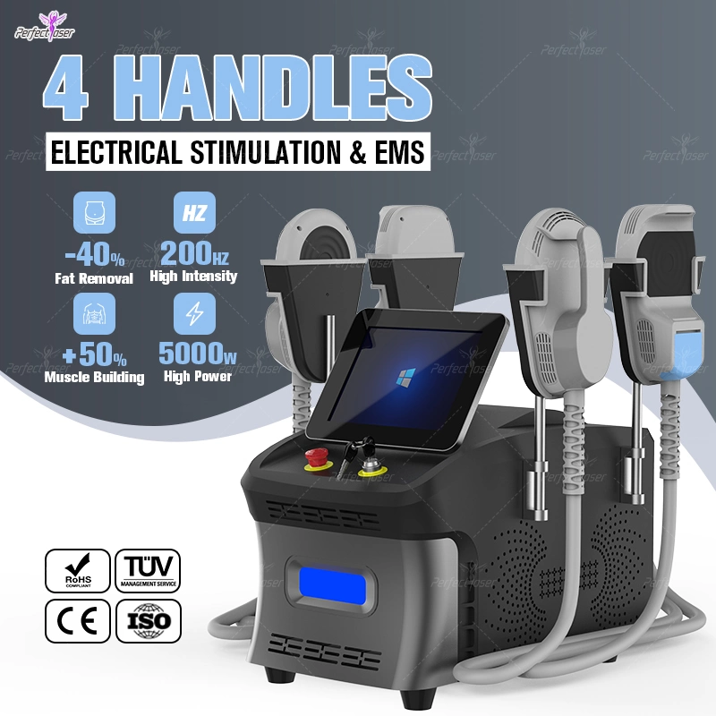 CE/FDA/RoHS Portable Body Sculpting Muscle Building Physical Therapy EMS